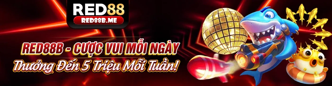 Hình ảnh nền tảng cá cược 123b uy tín với giao diện chuyên nghiệp và an toàn